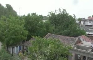 સરકાર અને ગામલોકોના સહયોગથી હરિયાળુ બન્યું માલણપુર… રણ પ્રદેશમાં સર્જાઈ હરિયાળી…