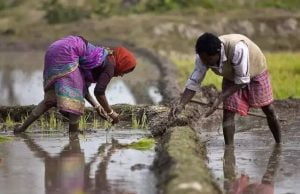 ભીમ અગિયારસ બાદ રાજ્યમાં વરસાહી માહોલ જામે છે… વરસાદનું રથાયાત્રા સાથે કનેક્શન…