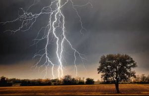 વિજળી પડી…!! એવું સાંભળીને જીવ કંપી ઉઠે છે… તો જાણો વિજળી કેવી રીતે પડે છે… કેવા વિસ્તારમાં પડે ….