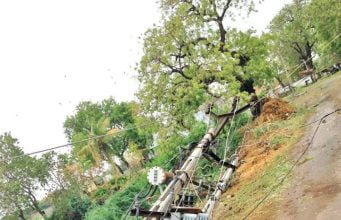 આણંદમાં 280 વીજપોલ ધરાશાઇ …. 15 ગામોમાં અંધારપટ ફેલાયો…