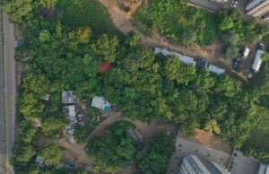 અમદાવાદીઓ માટે સ્વાસ્થ્યનું નવું સરનામું… શહેરમાં ફેફસાં સમાન 104 ઓક્સિજન પાર્ક કાર્યરત…