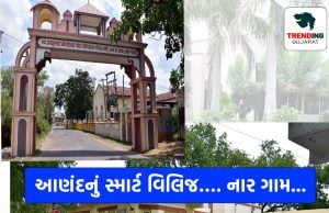 દેશના ગામડાંઓની બદલાતી તસવીર …. , ડિજીટલ ભારતના ગામ બની રહ્યા છે સ્માર્ટ વિલિજ …. જુઓ આણંદનું નાર ગામ …