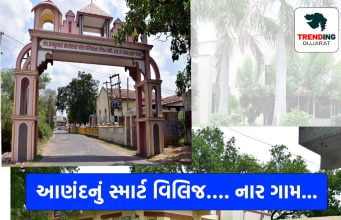 દેશના ગામડાંઓની બદલાતી તસવીર …. , ડિજીટલ ભારતના ગામ બની રહ્યા છે સ્માર્ટ વિલિજ …. જુઓ આણંદનું નાર ગામ …