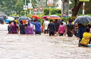 રાજ્યના અનેક જિલ્લામાં મેઘકહેર ….. સાંબેલાધાર વરસાદથી કેટલાક જિલ્લામાં મુશ્કેલીઓ વધી ….