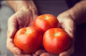 હાશ… હવે ઓછા થશે ટામેટાના ભાવ … સરકારે લીધો મહત્વનો નિર્ણય