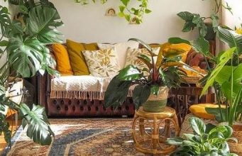 તમે ઘરમાં છોડ લગાવવાના શોખીન છો ?? …લગાવો આ છોડ કે જે તમારા ઘરનો આપશે અલગ લુક…