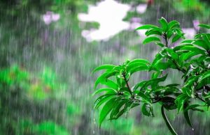 જાણો ક્યાં કેટલો ખાબક્યો વરસાદ …. !!!! જુઓ કયા જળાશયોને કરાયા હાઇ એલર્ટ …