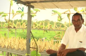 આજે FRIENDSHIP DAY પર જુઓ …. કેશોદના હરસુખભાઈ ડોબરીયાને પક્ષીઓ સાથેની મિત્રતા..