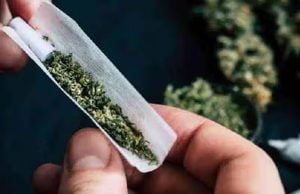 હવે લારીની આડમાં વેચાય છે ચરસ- ગાંજો …. આણંદમાં પોલીસે બે લોકોને ઝડપી લીધા …..