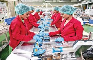 ભારતીય કંપનીઓમાં મહિલા કર્મચારીઓની સંખ્યામાં વધારો, 8 % મહિલાઓ CEO પોસ્ટ પર