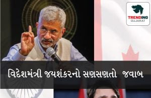 વિદેશમંત્રી એસ. જયશંકરે આપ્યો જડબાતોડ જવાબ , હવે કેનેડા અને અમેરિકાનું વલણ પડ્યું નરમ !!!!