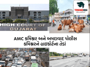 રાજ્ય સરકાર અને AMC ના અધિકારીઓ પર હાઇકોર્ટની તવાઇ , આવતીકાલે હાઇકોર્ટમાં AMC કમિશનર અને અમદાવાદ પોલીસ કમિશ્નર રહેશે હાજર