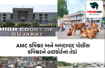 રાજ્ય સરકાર અને AMC ના અધિકારીઓ પર હાઇકોર્ટની તવાઇ , આવતીકાલે હાઇકોર્ટમાં AMC કમિશનર અને અમદાવાદ પોલીસ કમિશ્નર રહેશે હાજર