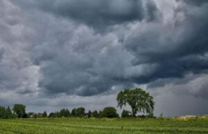 કાલોલમાં કમોસમી વરસાદને કારણે ખેડૂતોના પાકને તો ઇંટોના ભઠ્ઠાઓને ભારે નુકસાનની ભિતી