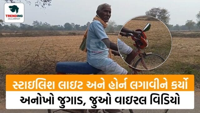સ્ટાઇલિશ લાઇટ અને હોર્ન લગાવીને કર્યો અનોખો જુગાડ, સાઇકલને ઇલેક્ટ્રીક બાઇકમાં બદલી, લોકોએ કહ્યું- આતો સાયન્સના વિદ્યાર્થી નીકળ્યા