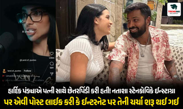 હાર્દિક પંડ્યાએ પત્ની સાથે છેતરપિંડી કરી હતી! નતાશા સ્ટેનકોવિકે ઈન્સ્ટાગ્રામ પર એવી પોસ્ટ લાઈક કરી કે ઈન્ટરનેટ પર તેની ચર્ચા શરૂ થઈ ગઈ.