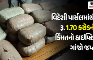 Ahmedabad News : વિદેશી પાર્સલમાંથી રૂ. 1.70 કરોડની કિંમતનો હાઇબ્રિડ ગાંજો જપ્ત Ahmedabad News : વિદેશી પાર્સલમાંથી રૂ. 1.70 કરોડની કિંમતનો હાઇબ્રિડ ગાંજો જપ્ત