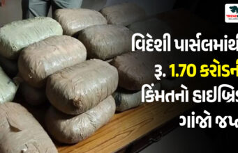 Ahmedabad News : વિદેશી પાર્સલમાંથી રૂ. 1.70 કરોડની કિંમતનો હાઇબ્રિડ ગાંજો જપ્ત Ahmedabad News : વિદેશી પાર્સલમાંથી રૂ. 1.70 કરોડની કિંમતનો હાઇબ્રિડ ગાંજો જપ્ત