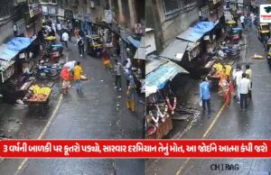 Thane News : 3 વર્ષની બાળકી પર કૂતરો પડ્યો, સારવાર દરમિયાન તેનું મોત, આ જોઈને આત્મા કંપી જશે… Thane News : 3 વર્ષની બાળકી પર કૂતરો પડ્યો, સારવાર દરમિયાન તેનું મોત, આ જોઈને આત્મા કંપી જશે...