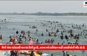 મિની ગોવા વડોદરાથી માત્ર 55 કિમી દૂર છે…આખા વર્ષ દરમિયાન અહીં પ્રવાસીઓની ભીડ રહે છે Mini Goa is just 55 km from Vadodara...it is thronged with tourists throughout the year.