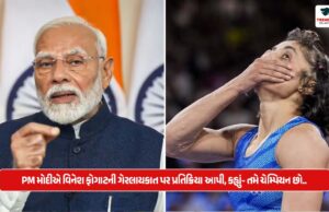 PM મોદીએ વિનેશ ફોગાટની ગેરલાયકાત પર પ્રતિક્રિયા આપી, કહ્યું- તમે ચેમ્પિયન છો.. PM Modi reacts to Vinesh Phogat's disqualification