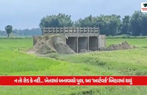 ન તો રોડ કે નદી… ખેતરમાં બનાવાયો પુલ, આ ‘આર્ટવર્ક’ બિહારમાં થયું Neither road nor river... a bridge was built in the field
