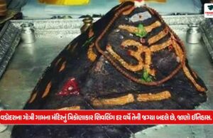 VADODRA : વડોદરાના ગોત્રી ગામના મંદિરનું ત્રિકોણાકાર શિવલિંગ દર વર્ષે તેની જગ્યા બદલે છે, જાણો ઈતિહાસ. VADODRA : વડોદરાના ગોત્રી ગામના મંદિરનું ત્રિકોણાકાર શિવલિંગ દર વર્ષે તેની જગ્યા બદલે છે, જાણો ઈતિહાસ.