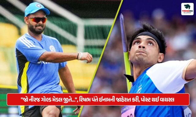 Paris Olympics 2024 : "જો નીરજ ગોલ્ડ મેડલ જીતે..."રિષભ પંતે ઈનામની જાહેરાત કરી, પોસ્ટ થઈ વાયરલ