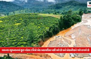 વાયનાડ ભૂસ્ખલનમાં છૂટા પડેલા 2 મિત્રો એક અઠવાડિયા પછી મળે છે અને એકબીજાને ગળે લગાવે છે 2 friends separated in Wayanad landslide meet after a week