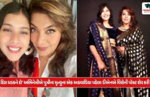 દિલ ધડકને દો’ અભિનેત્રીએ પુત્રીના મૃત્યુના એક અઠવાડિયા પહેલા ડીએનએ વિશેની પોસ્ટ શેર કરી અને કહ્યું- આ છે સત્ય dil dhadkta he