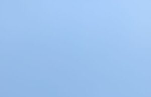 જર્જરિત ટાંકીની સિડી પર જોખમી ફરજ નિભાવતા કર્મચારીનો વિડિઓ વાઇરલ