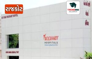 9 વર્ષના બાળકના 7 ટાંકા માટે 1.60 લાખનું બિલ! વોકહાર્ટ હોસ્પિટલ પર દાદાનો આક્ષેપ!