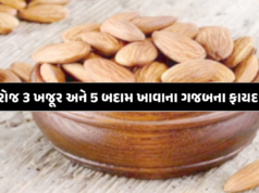 રોજ 3 ખજૂર અને 5 બદામ ખાવાના ગજબના ફાયદા રોજ 3 ખજૂર અને 5 બદામ ખાવાના ગજબના ફાયદા