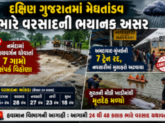 દક્ષિણ ગુજરાતમાં મેઘતાંડવ યથાવત: નર્મદામાં ડાયવર્ઝન ધોવાતાં 7 ગામો સંપર્કવિહોણા, અમદાવાદ-મુંબઈ રૂટની 7 ટ્રેનો રદ, નવસારીમાં મુસાફરો અટવાયા